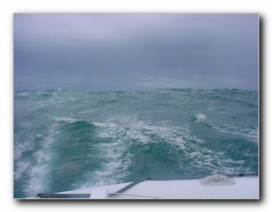 Click to enlarge